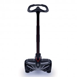 INMOTION R2S
